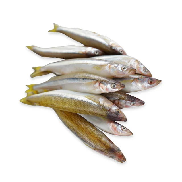 Smelt Fish