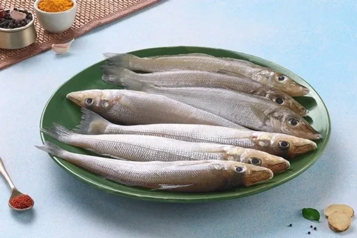 Lady Fish