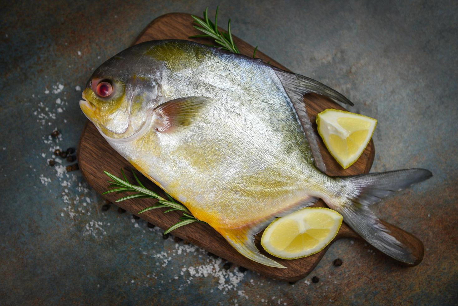 Gold Pomfret
