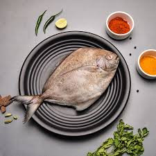 Black Pomfret
